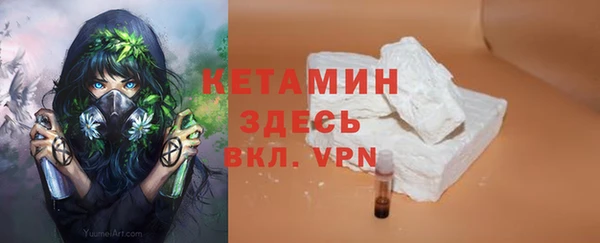крисы Верея