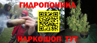 синтетический гашиш Сланцы