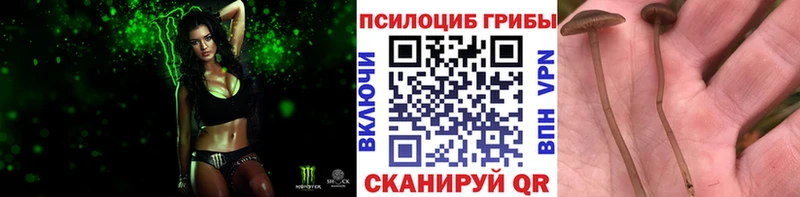 Галлюциногенные грибы Cubensis  kraken как зайти  Рузаевка  купить закладку 