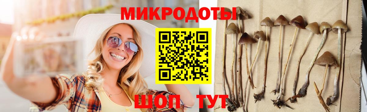 Псилоцибиновые грибы мицелий Рузаевка